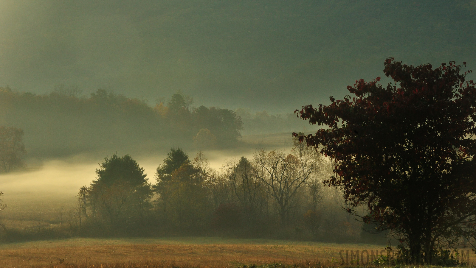 [150 mm, 1/250 sec at f / 14, ISO 1600]